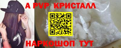 СК Моздок