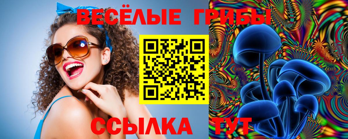 Галлюциногенные грибы мухоморы Фрязино