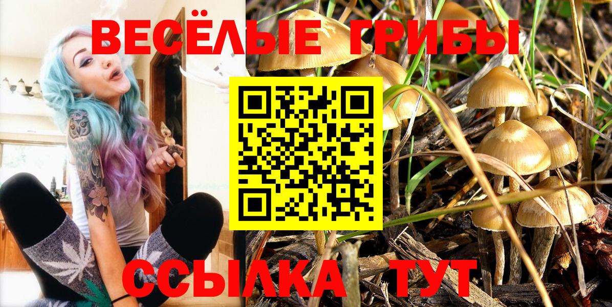 Галлюциногенные грибы мицелий  Вход с VPN  Фрязино 