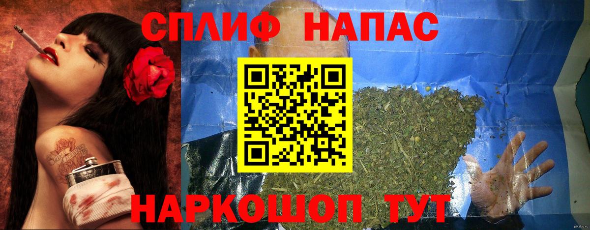 A PVP Фрязино